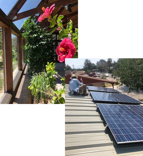 EcoBuild Greenhouse Flowers